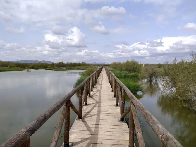 Laguna de Fuente de Piedra (Málaga)