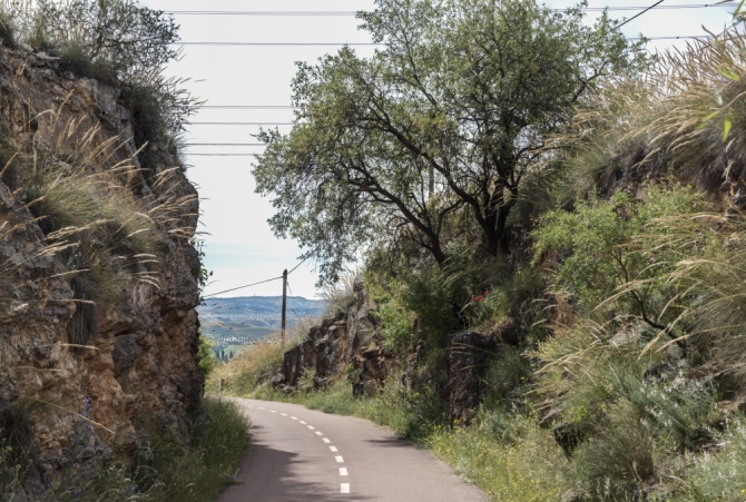 Vía Verde del Tajuña