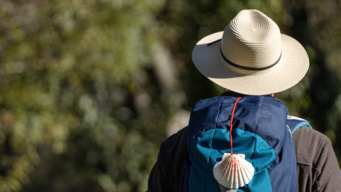 Imagen de la noticia: Un viaje inolvidable para vivir el Camino de Santiago Francés con los cinco sentidos